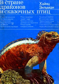 Обложка В стране драконов и сказочных птиц