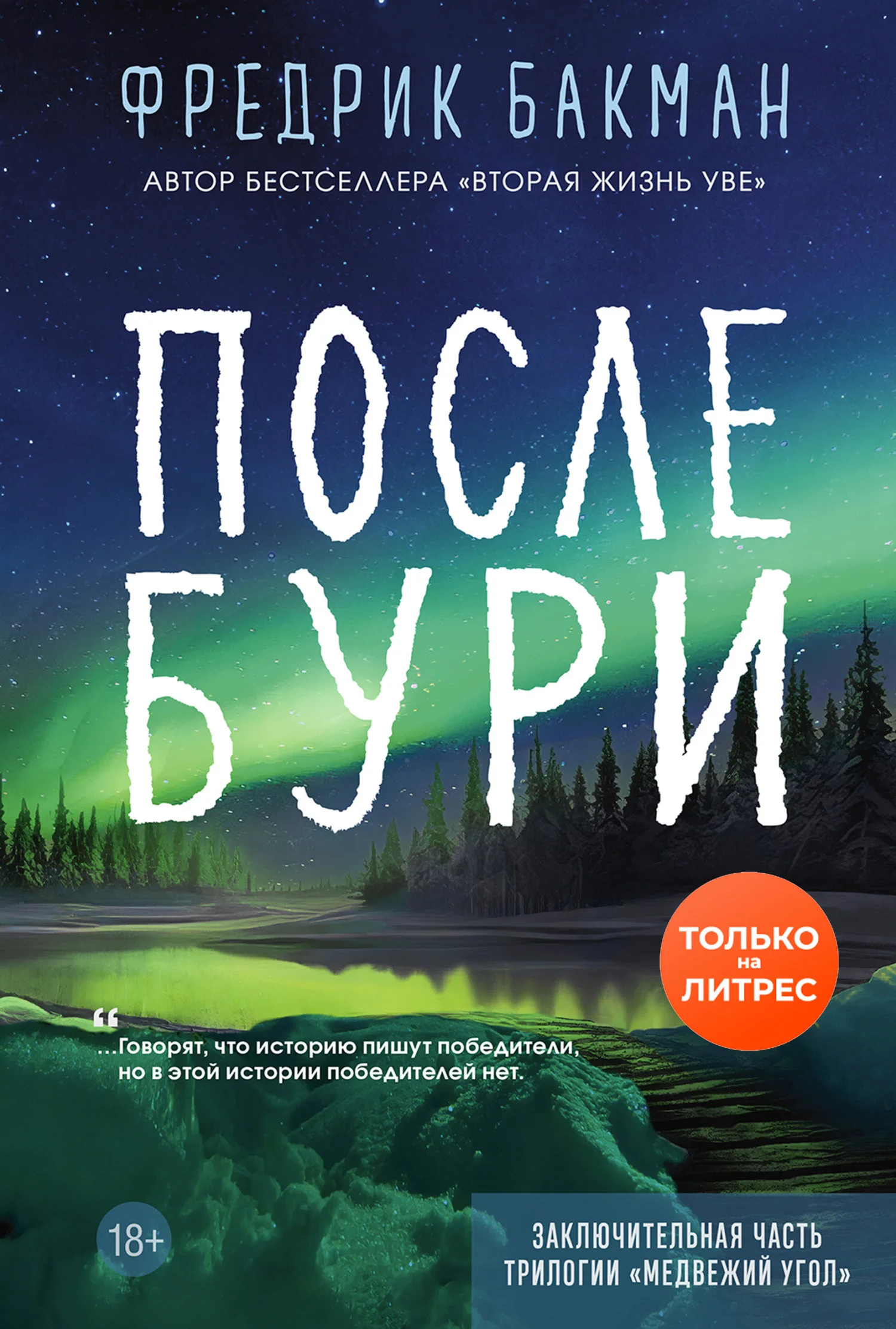Обложка После бури