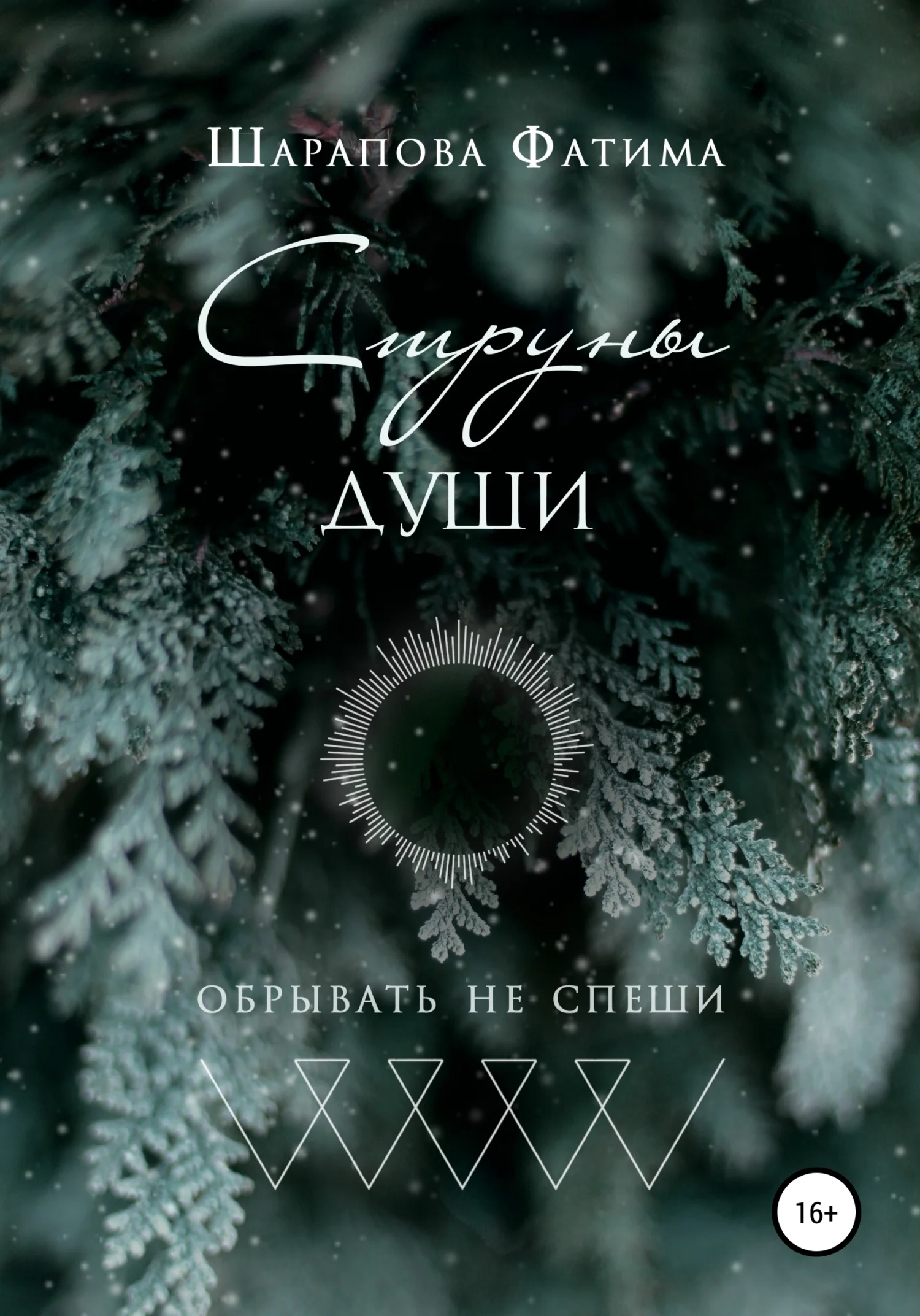 Обложка Струны души