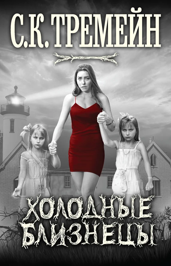 Обложка Холодные близнецы