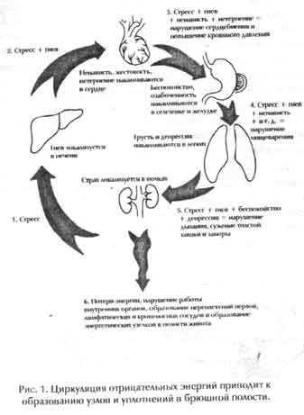 Обложка Ци-нэйцзан. Ци-массаж внутренних органов