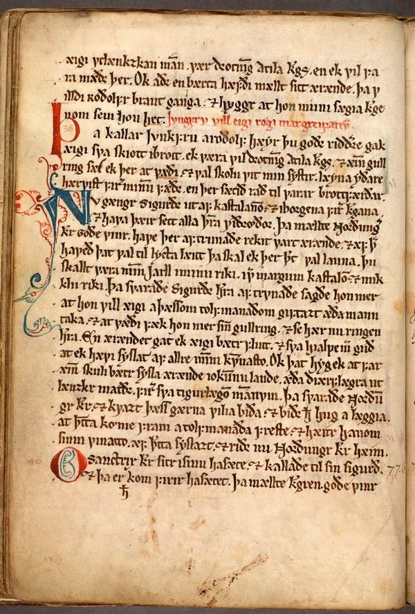 Обложка Сага о Тидреке из Берна