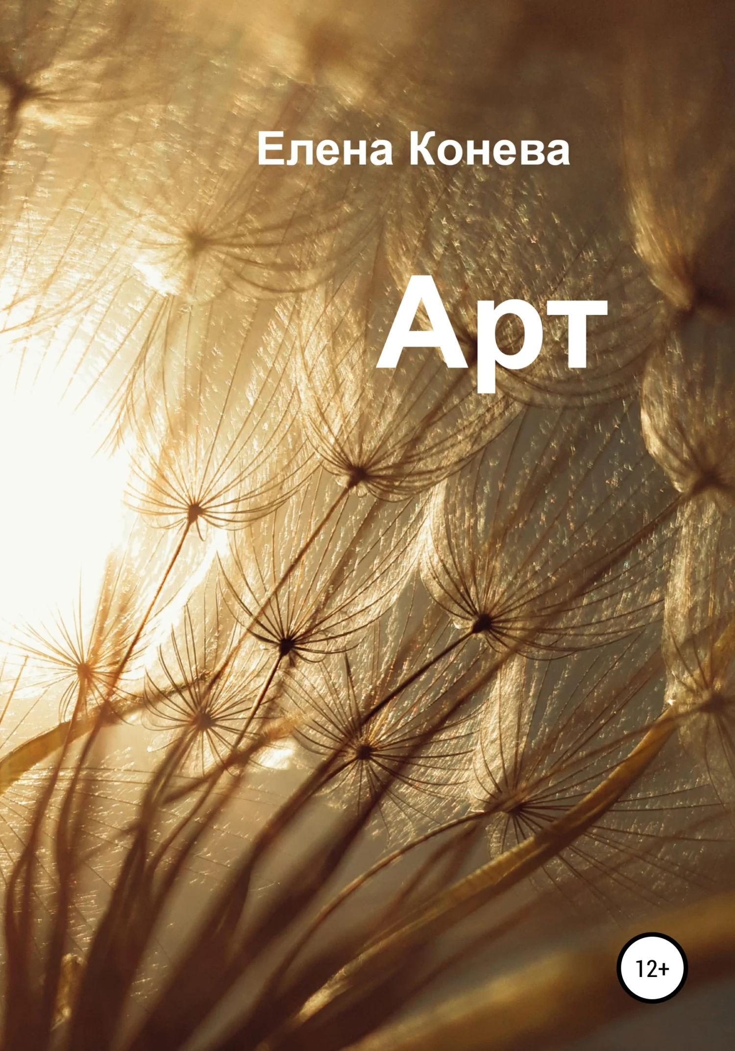 Обложка Арт