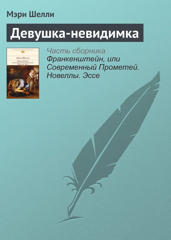 Обложка Девушка-невидимка