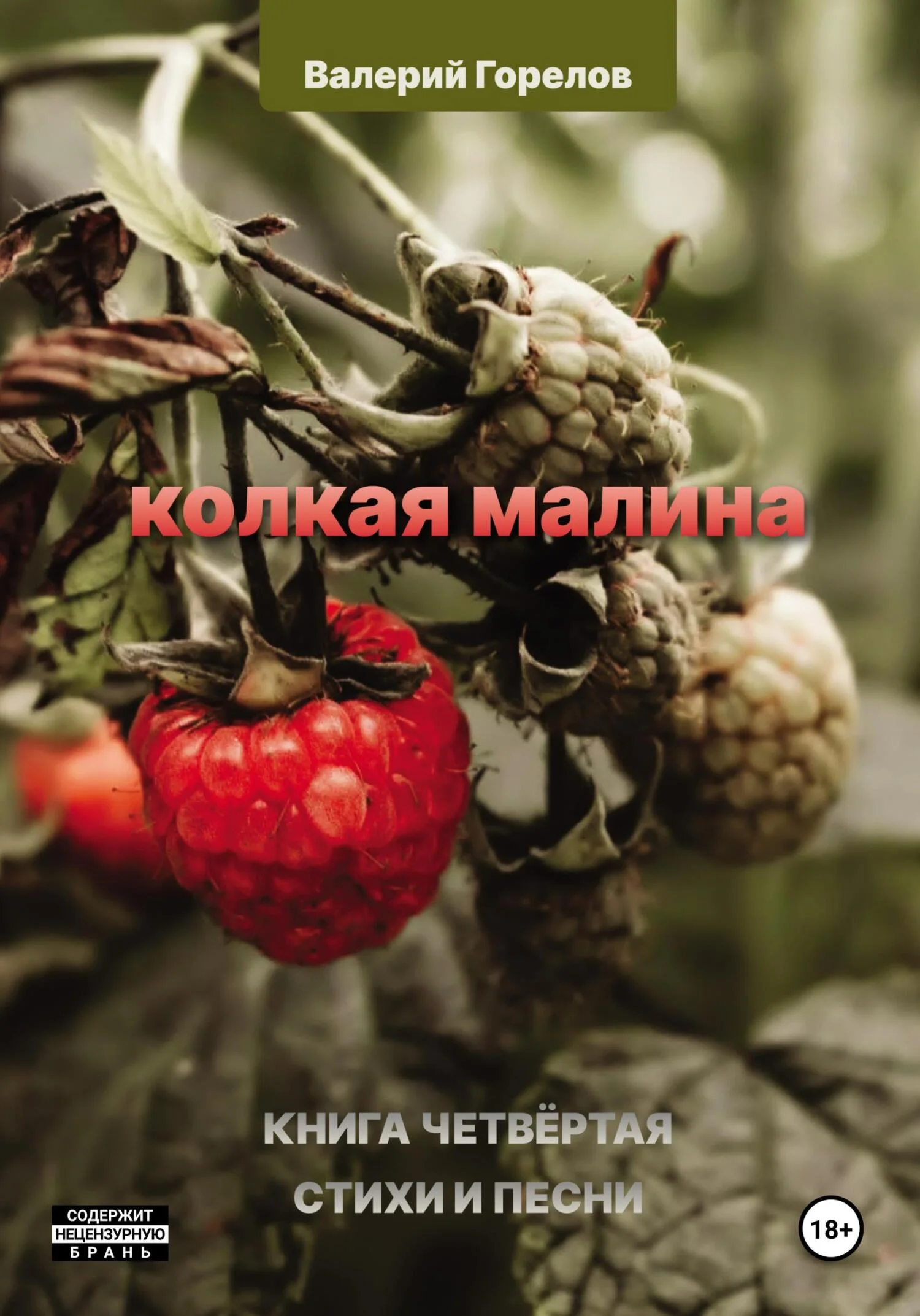 Обложка Колкая малина. Книга четвёртая