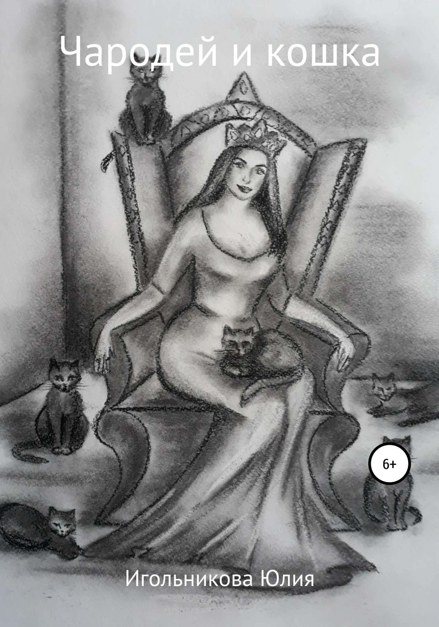 Обложка Чародей и кошка