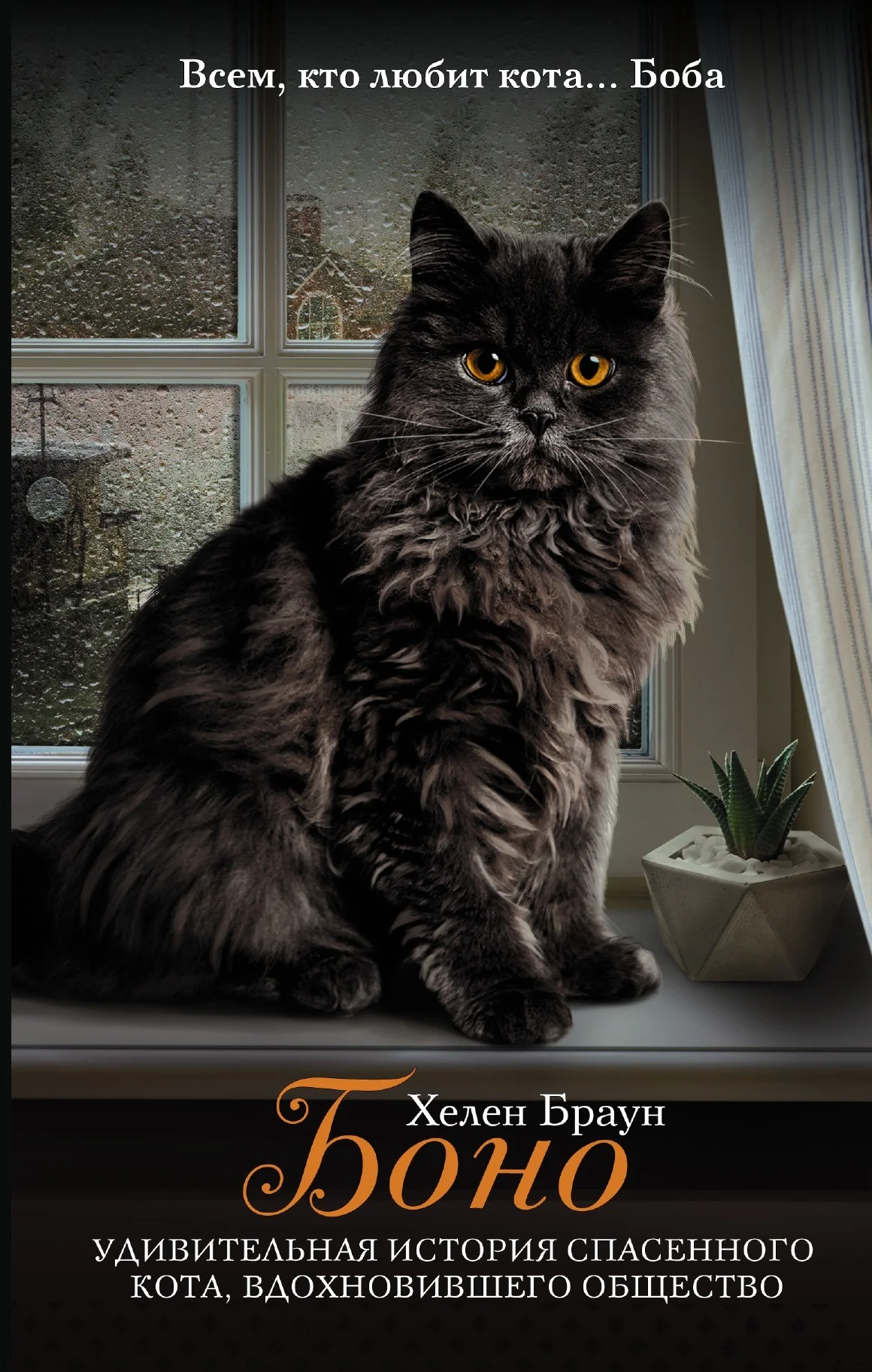 Обложка Боно. Удивительная история спасенного кота, вдохновившего общество