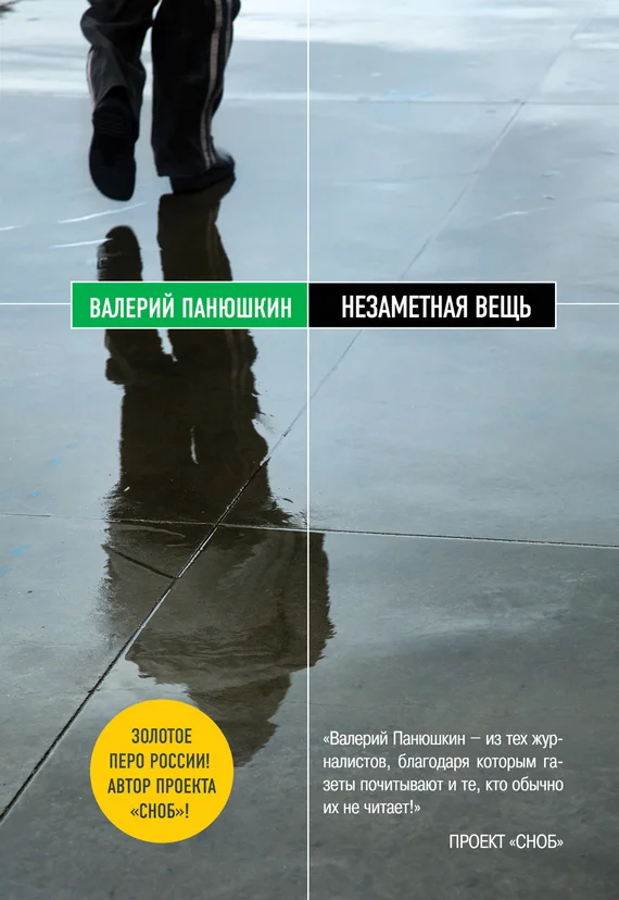 Обложка Незаметная вещь