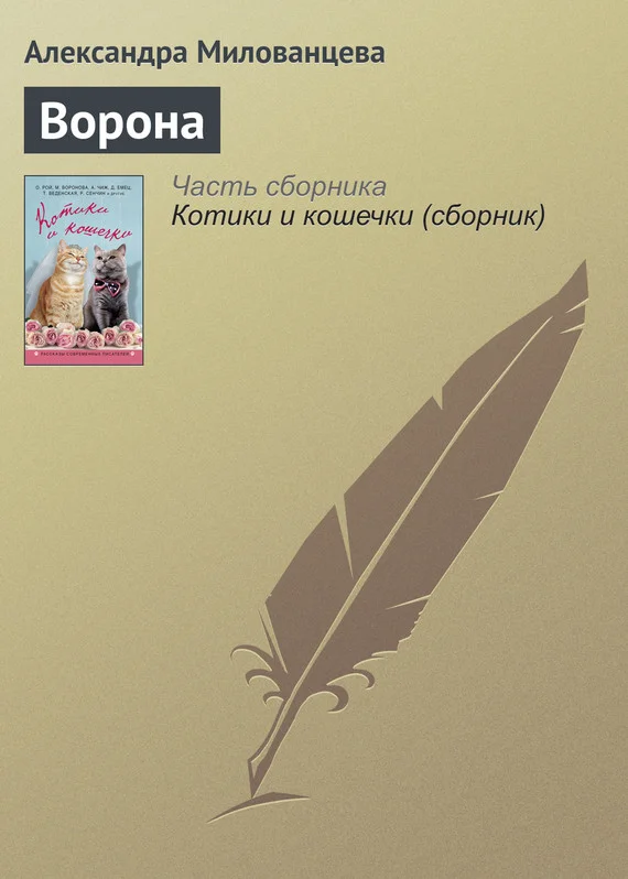 Обложка Ворона