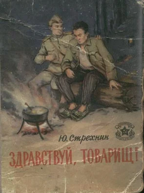 Обложка Здравствуй, товарищ!