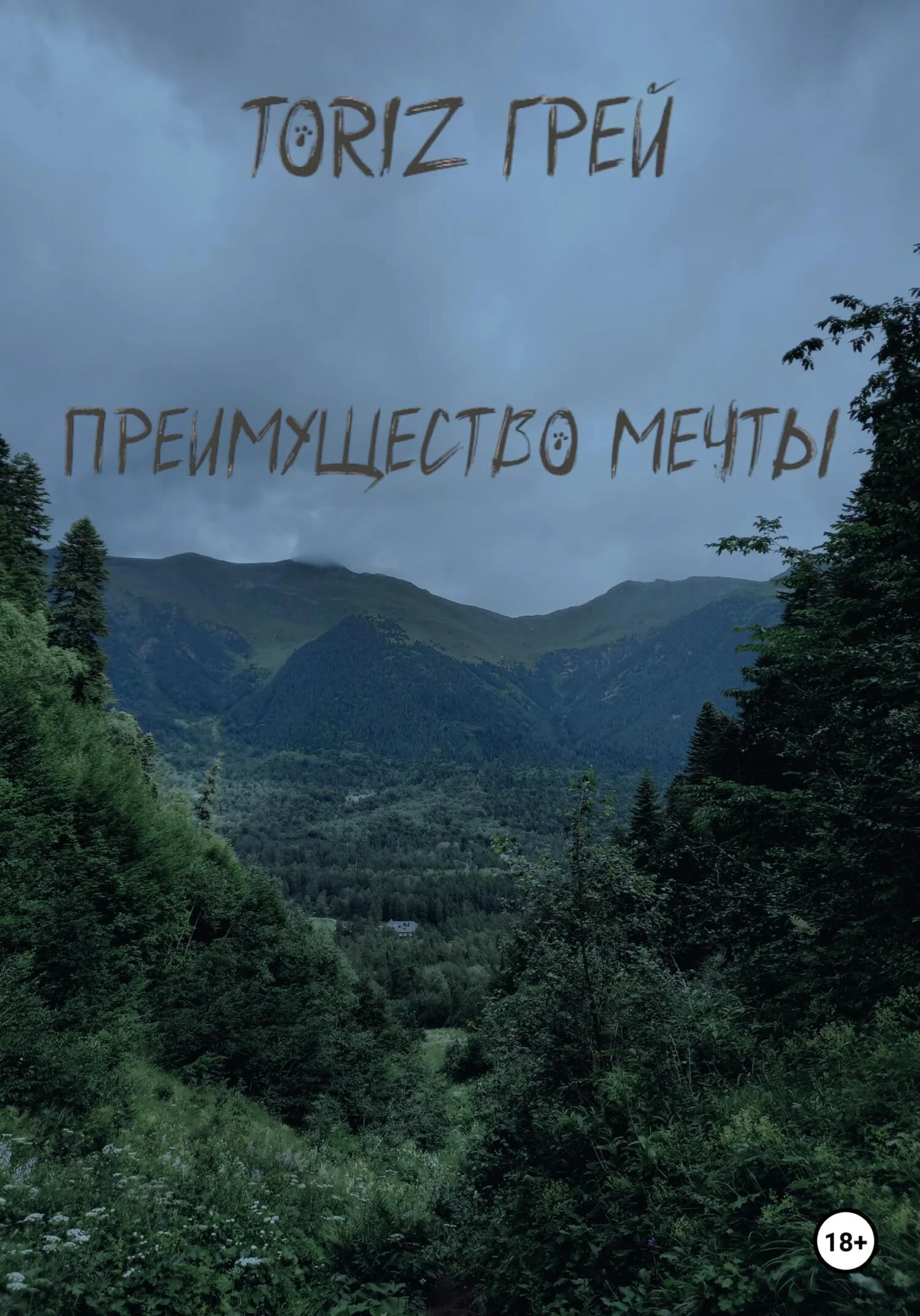 Обложка Преимущество мечты