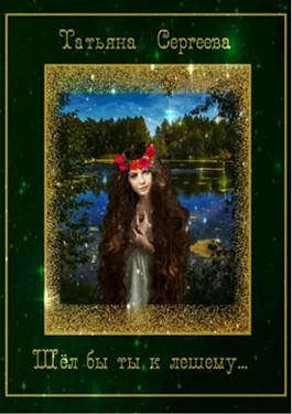 Обложка Шёл бы ты к лешему…