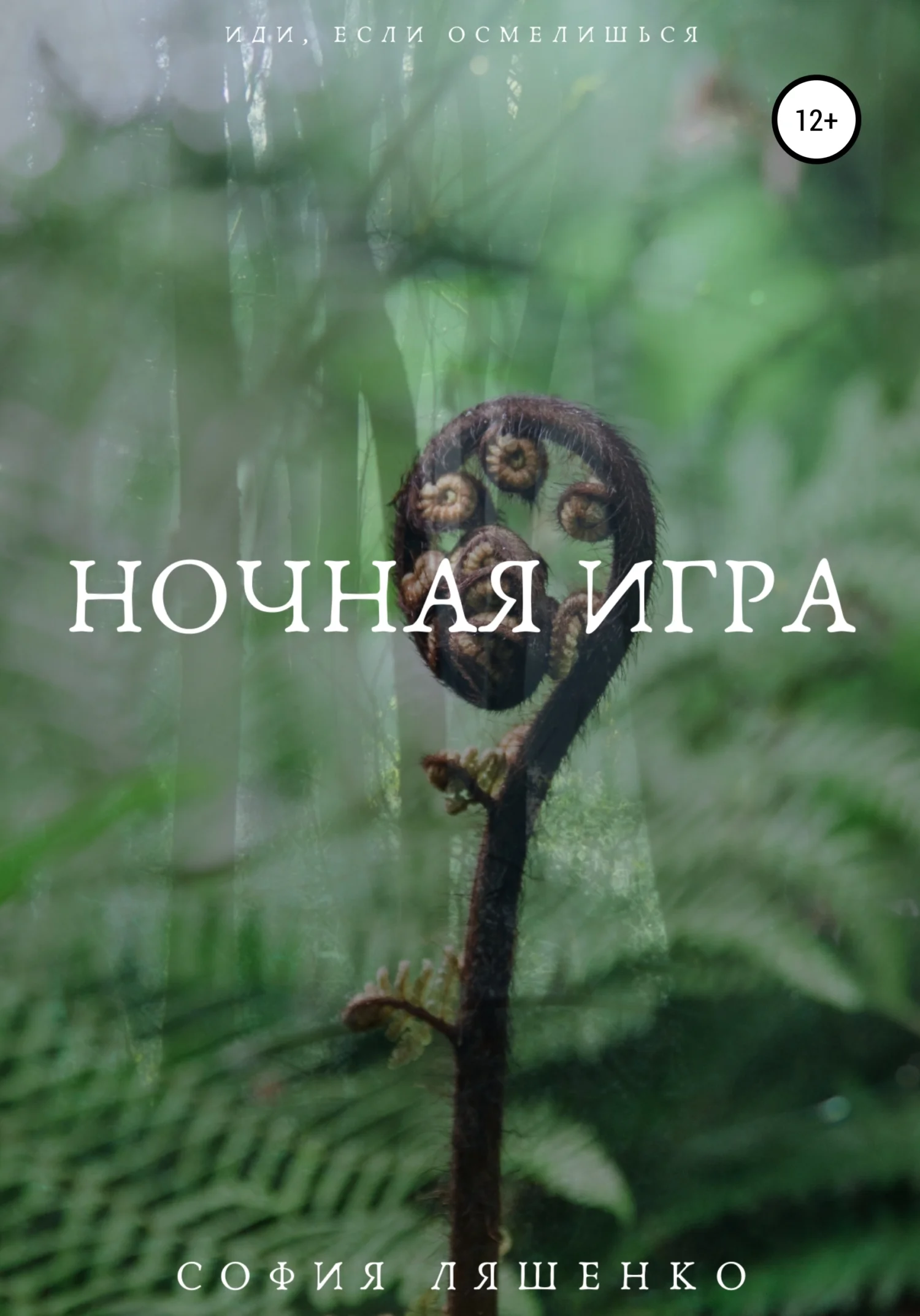 Обложка Ночная игра