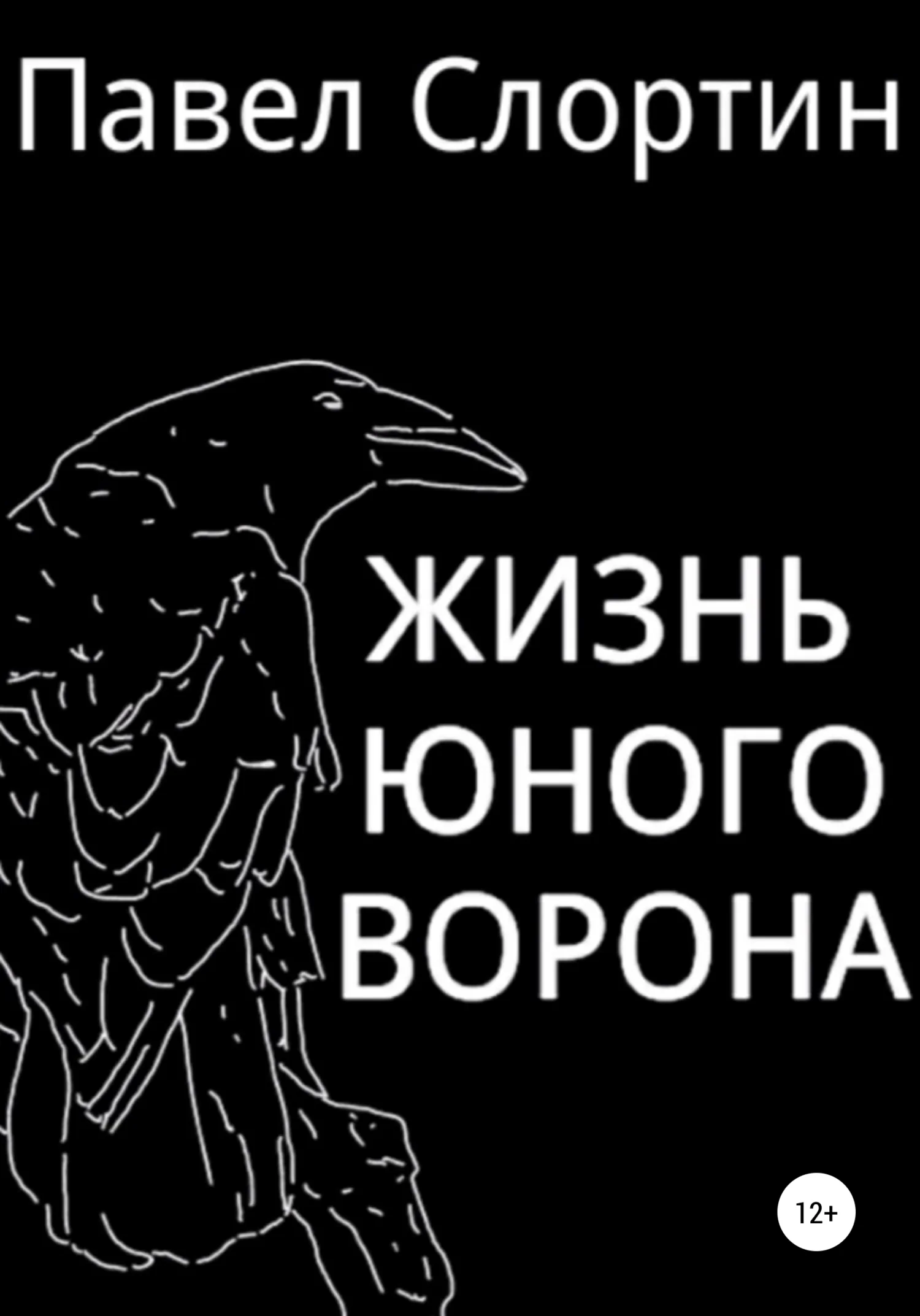 Обложка Жизнь юного ворона