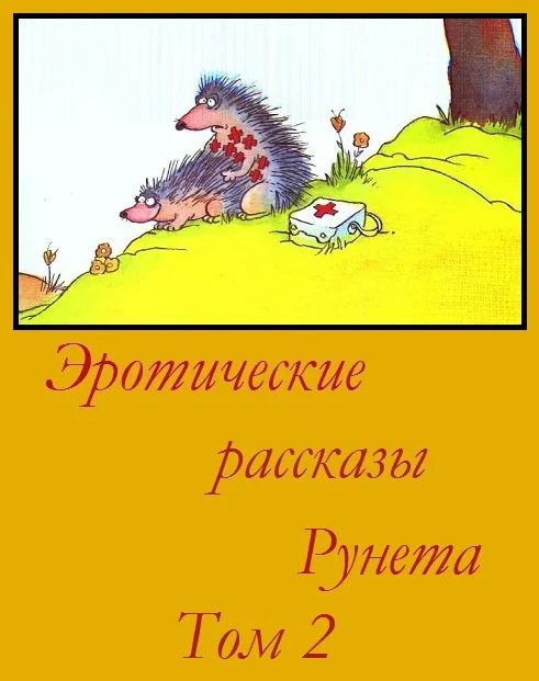 Обложка Эротические рассказы Рунета - Том 2