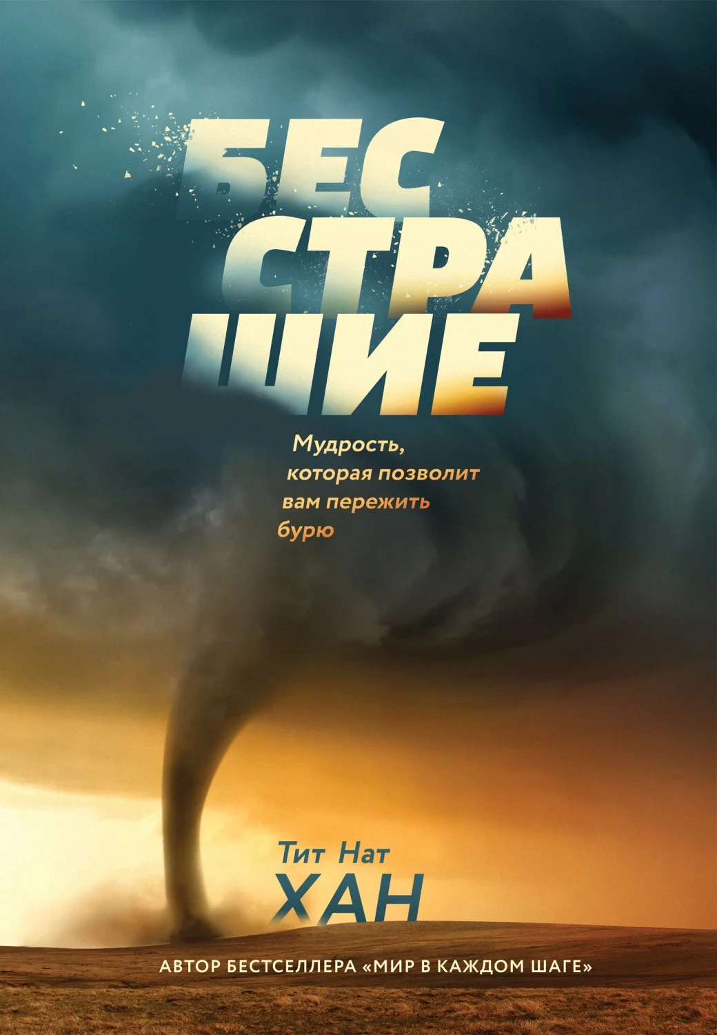 Обложка Бесстрашие. Мудрость, которая позволит вам пережить бурю