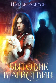 Обложка Бытовик в действии (СИ)