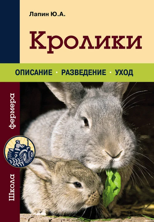 Обложка Кролики