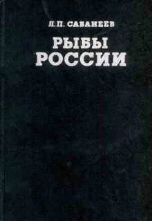 Обложка Рыбы России (Том первый)
