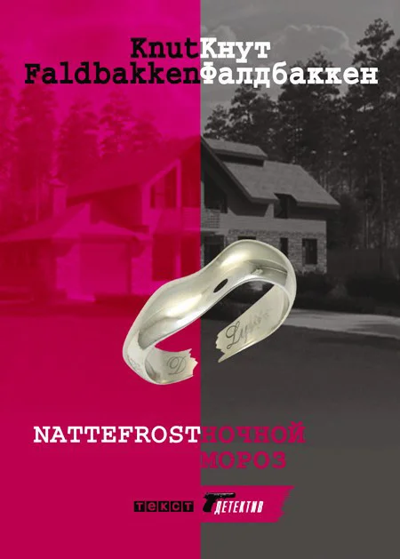 Обложка Ночной мороз