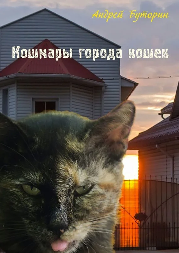 Обложка Кошмары города кошек