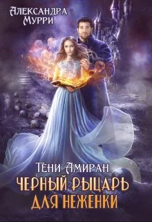 Обложка Тени Амиран. Черный рыцарь для неженки