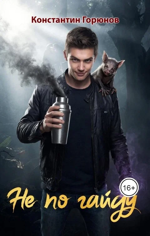 Обложка Не по гайду