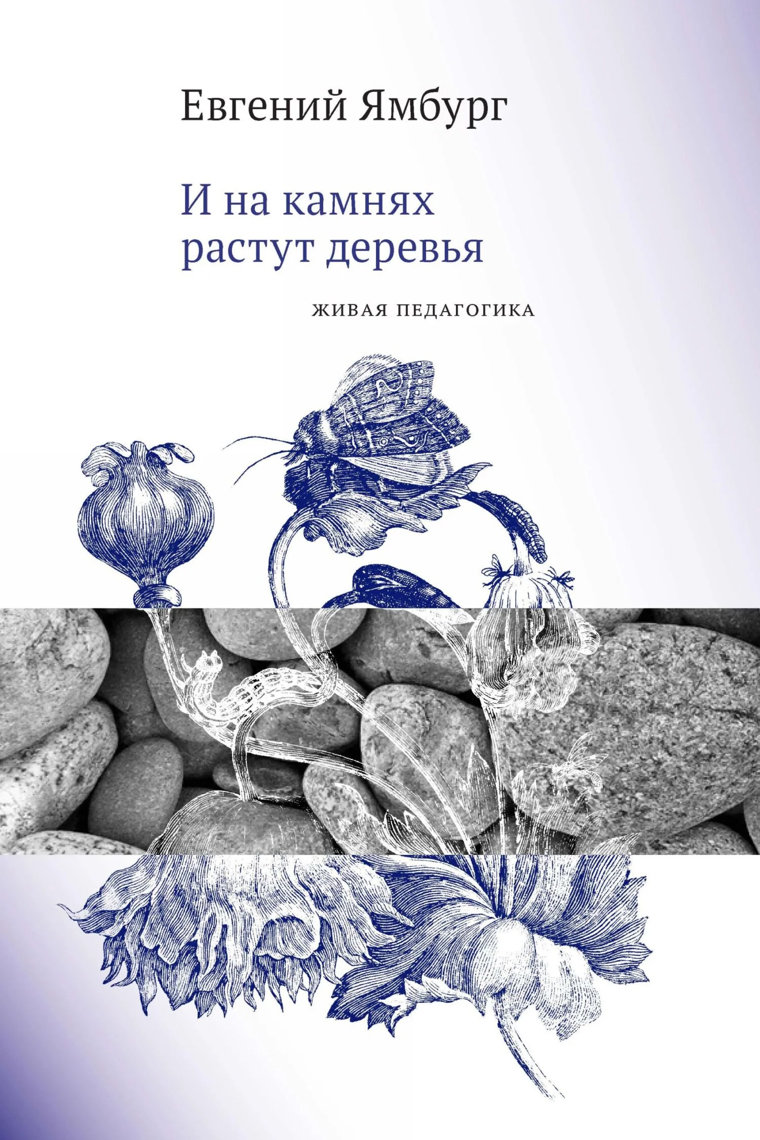 Обложка И на камнях растут деревья. Живая педагогика