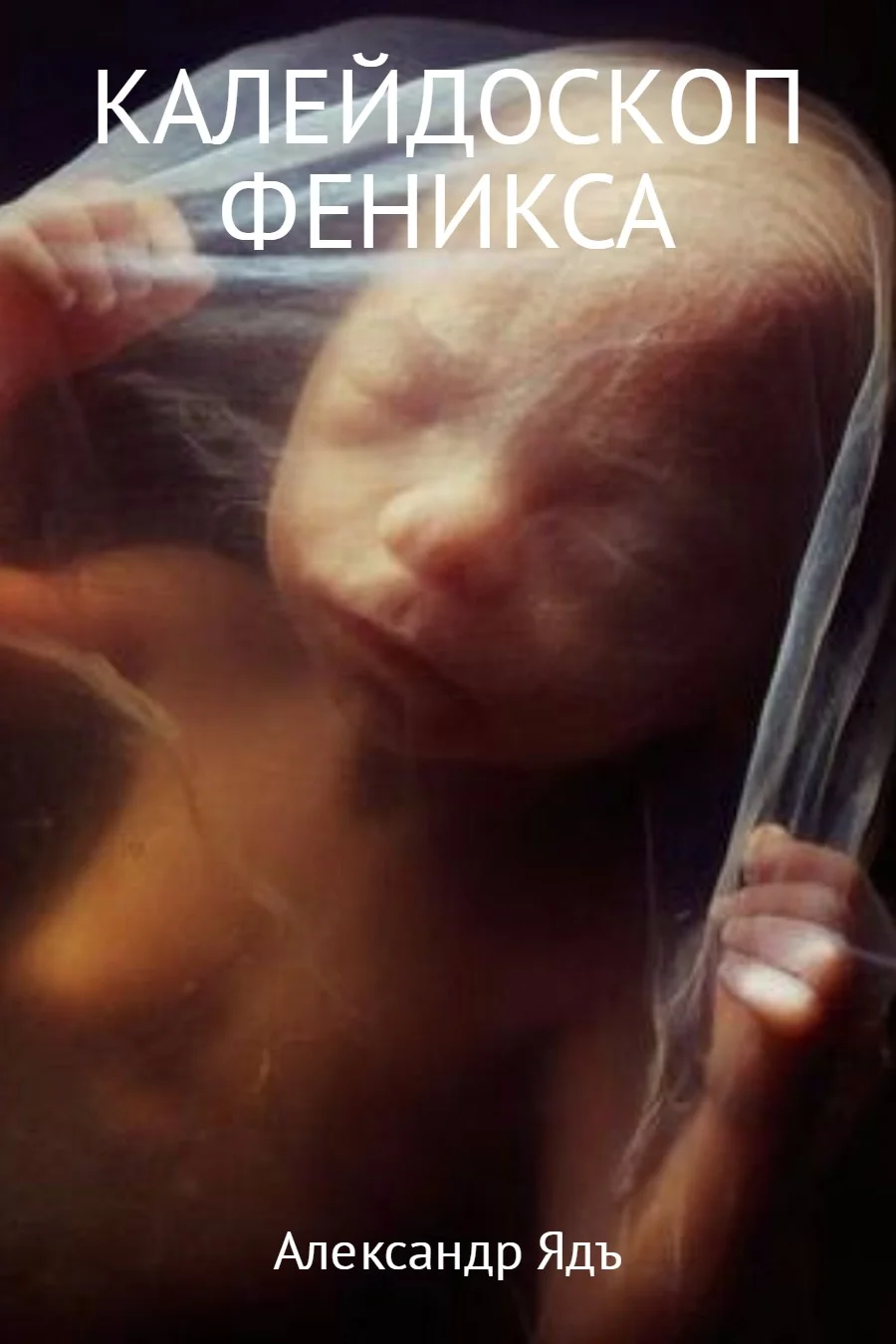 Обложка Калейдоскоп Феникса