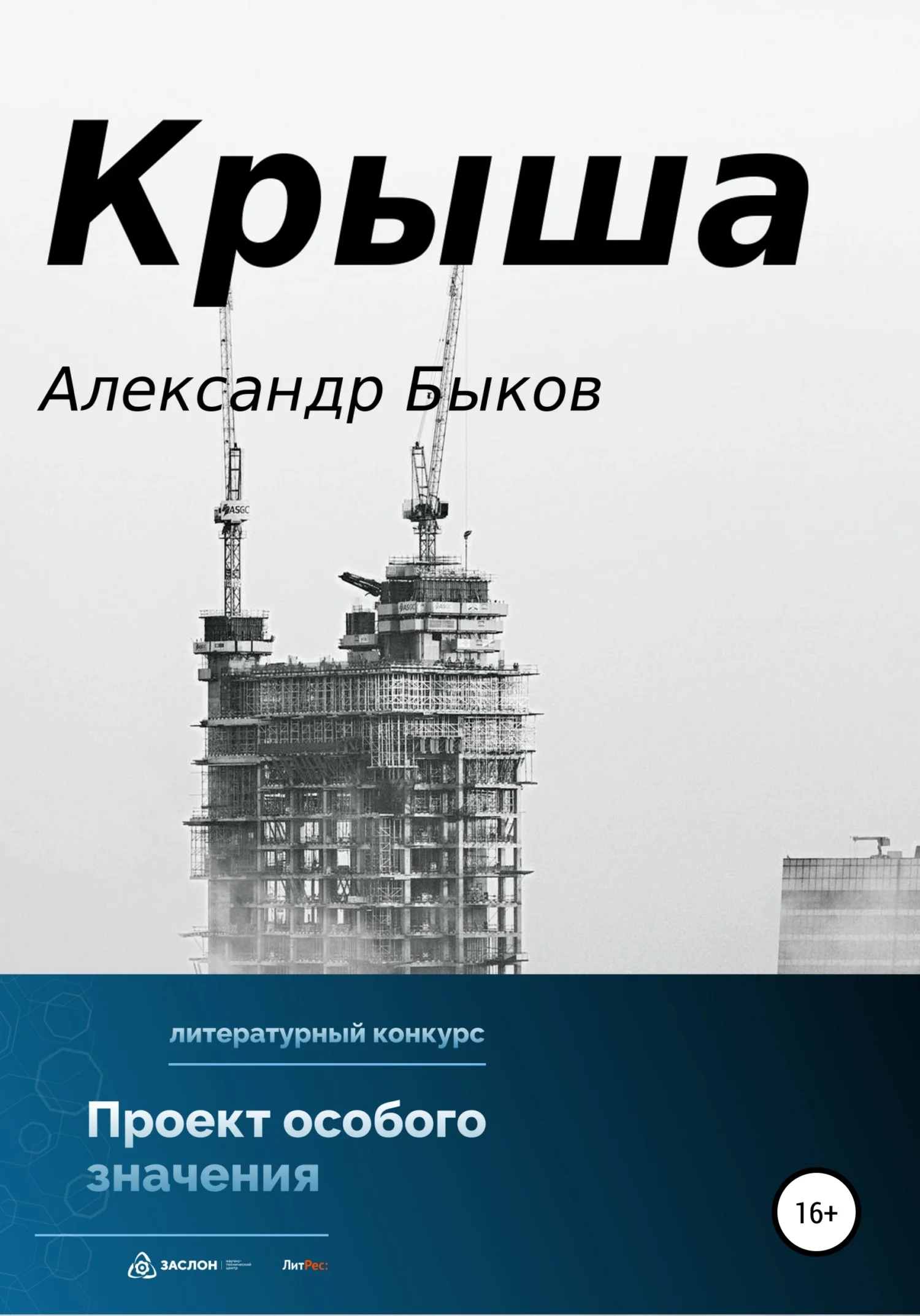 Обложка Крыша