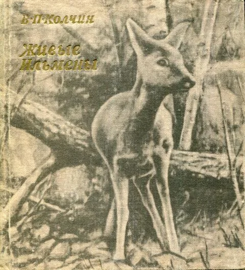 Обложка Живые Ильмены