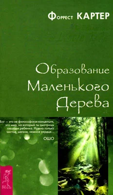 Обложка Образование Маленького Дерева