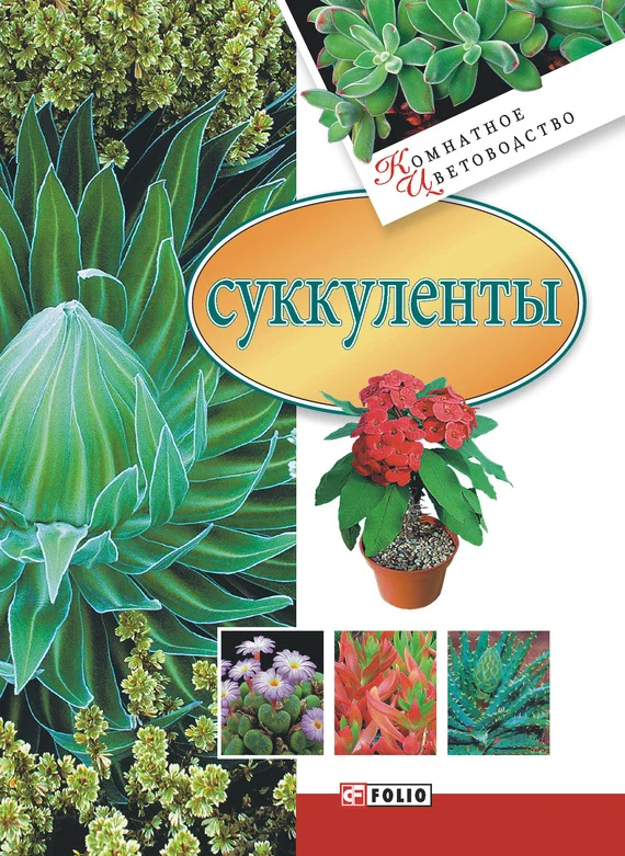 Обложка Суккуленты