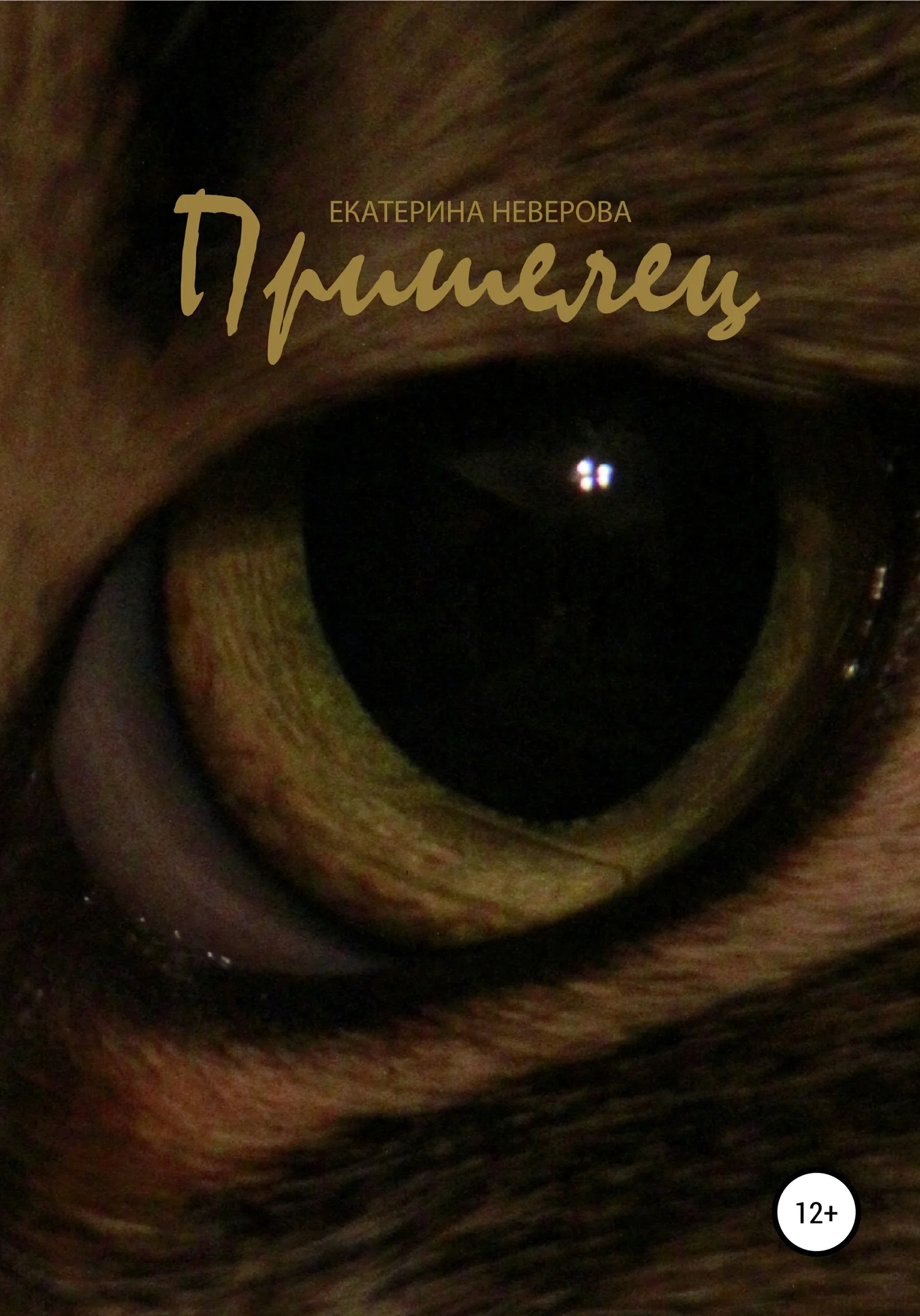 Обложка Пришелец