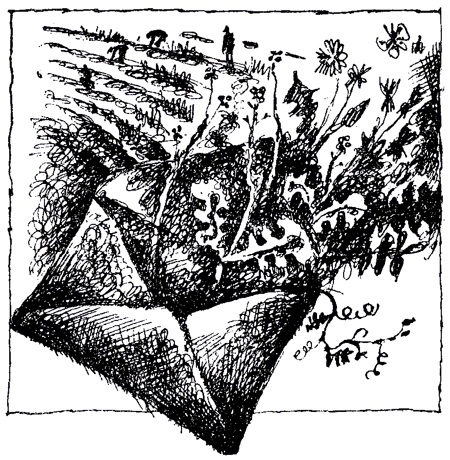 Обложка Уроки лета (Письма десятиклассницы)