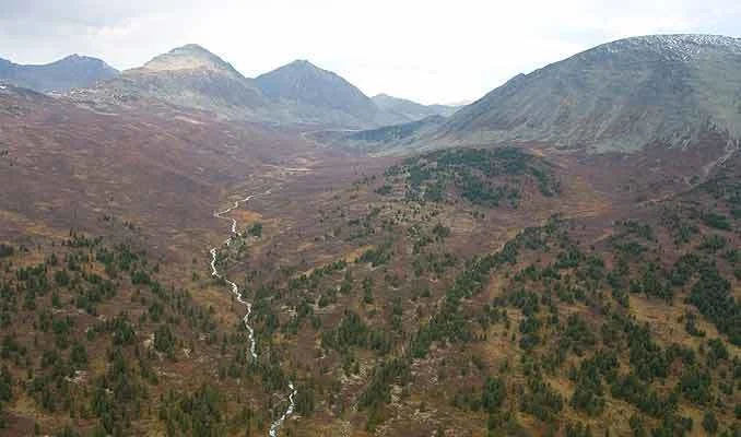 Обложка Если вместе, то навеки (СИ)