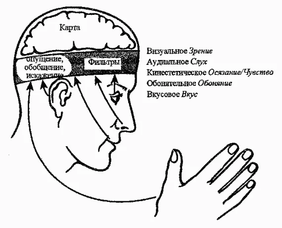 Обложка NLP. Полное практическое руководство