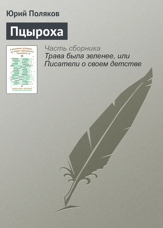 Обложка Пцыроха