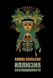 Обложка Иллюзия осознаваемости