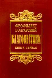 Обложка Толкование на книги Нового Завета