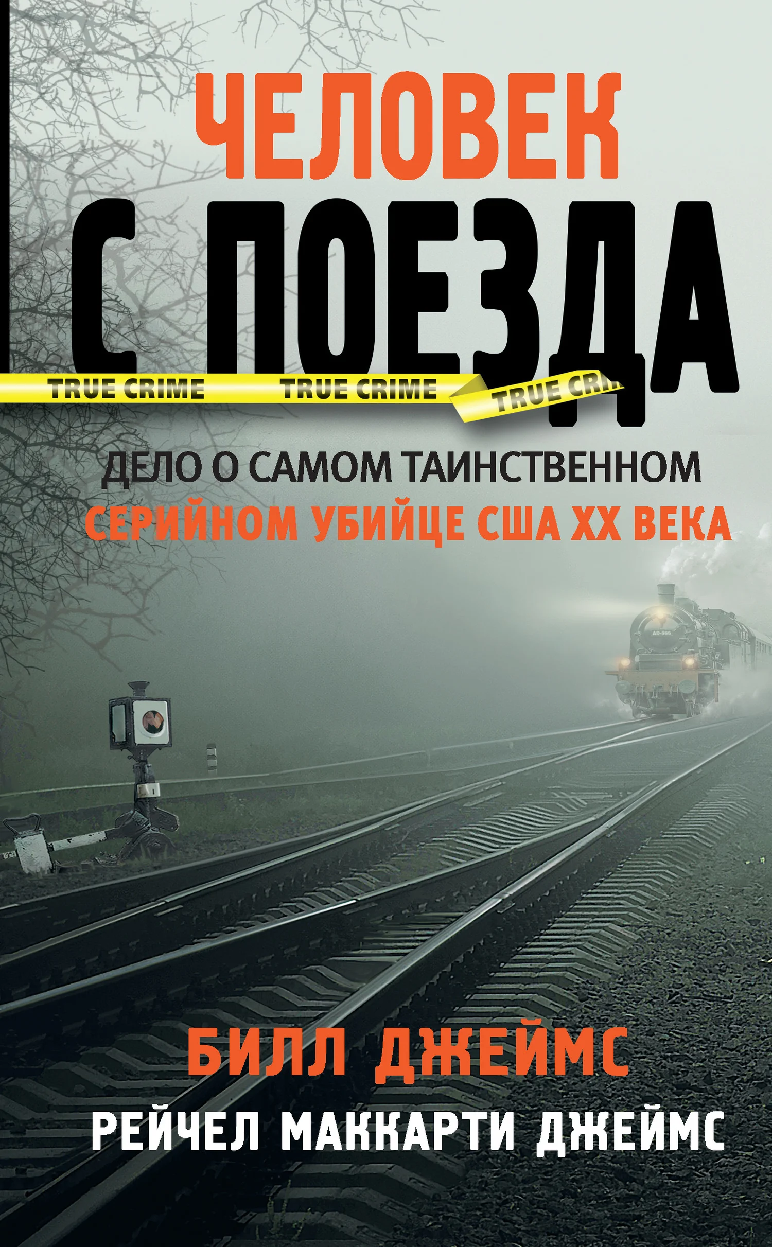 Обложка Человек с поезда