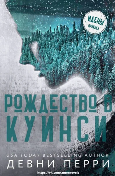 Обложка Рождество в Куинси