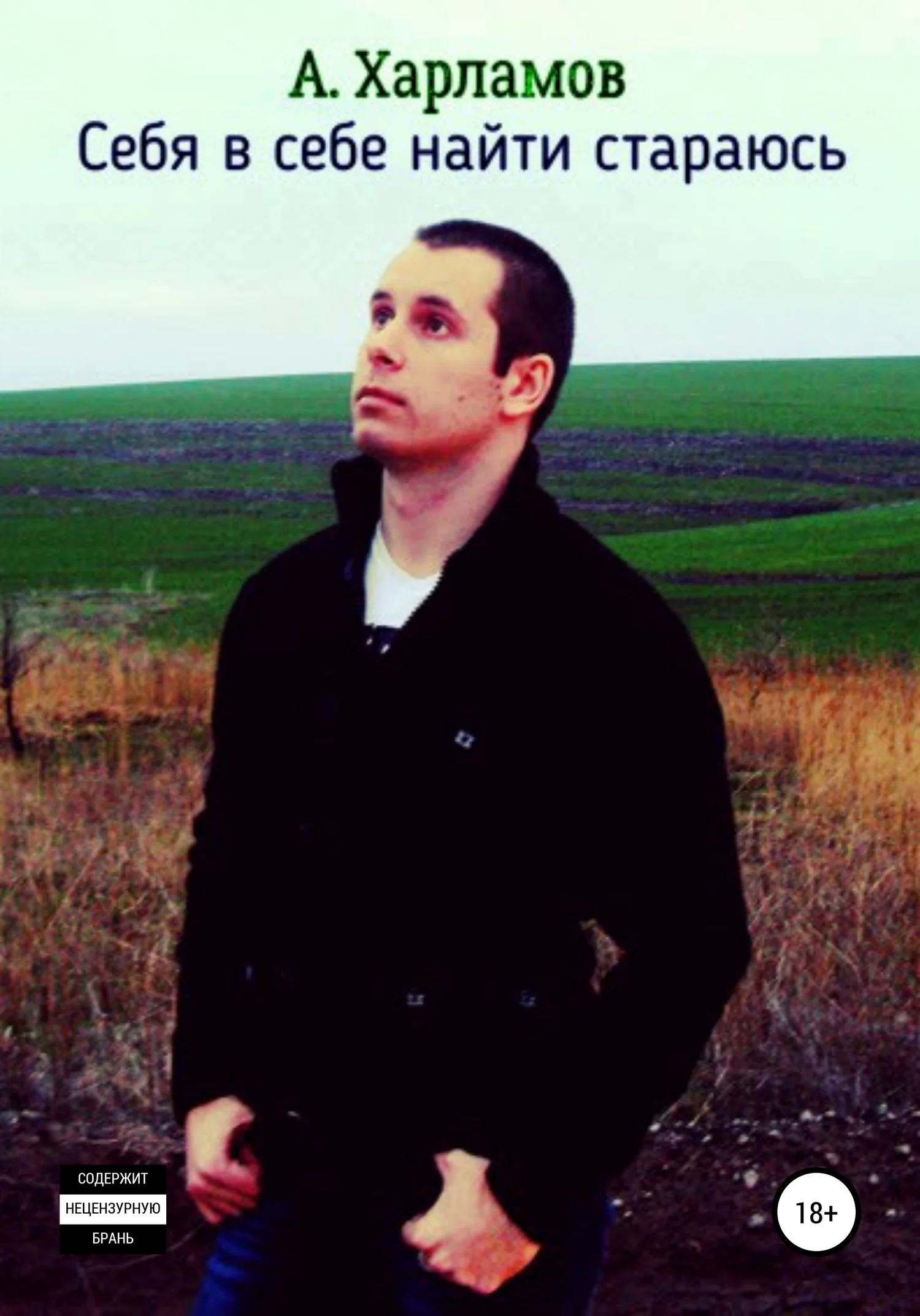 Обложка Себя в себе найти стараюсь