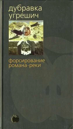 Обложка Форсирование романа-реки