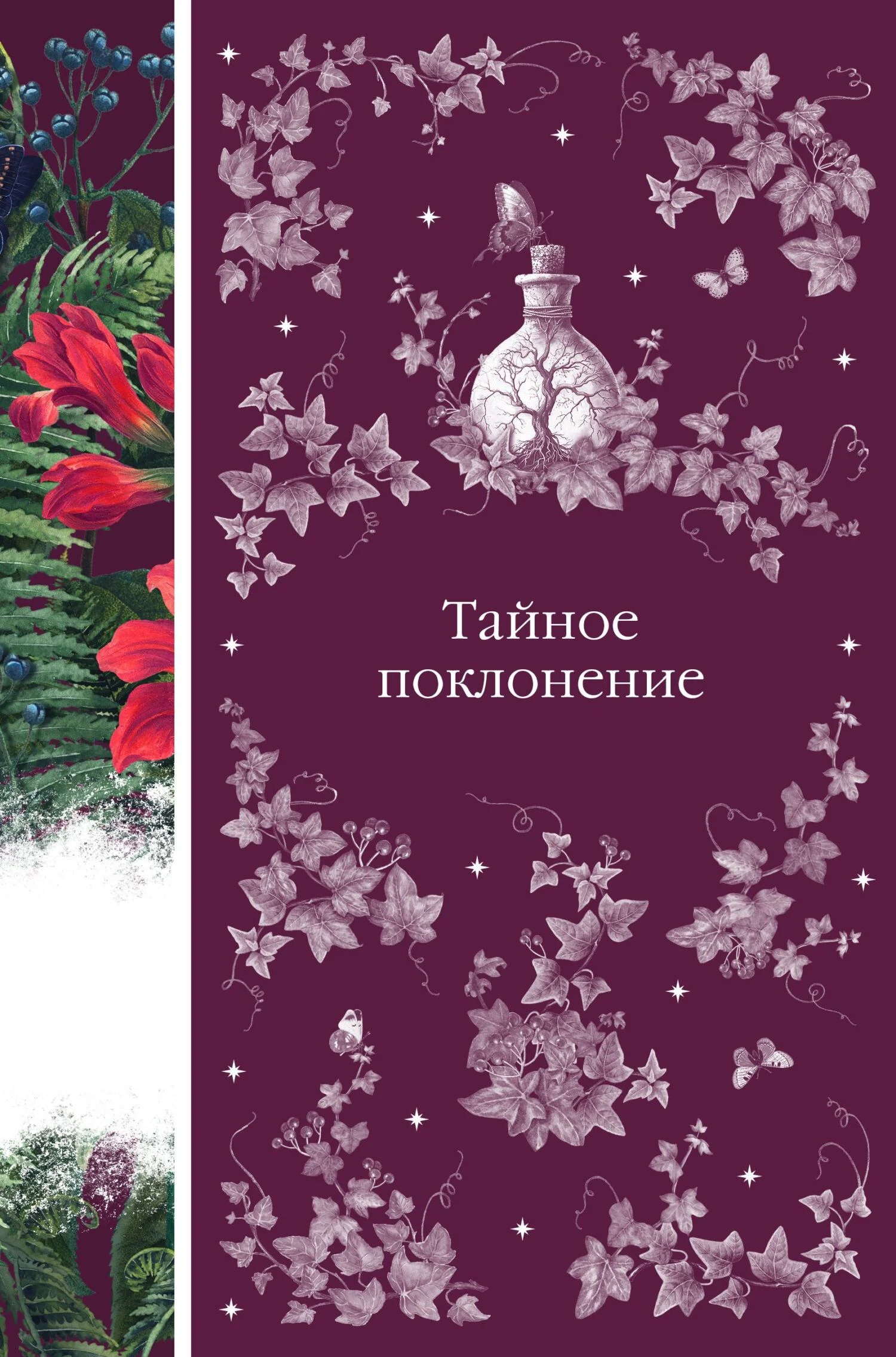Обложка Тайное поклонение