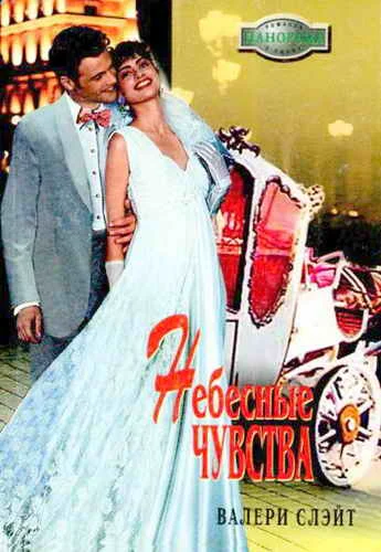 Обложка Небесные чувства