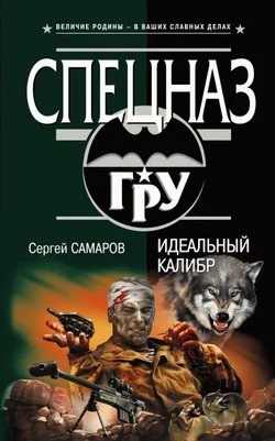 Обложка Идеальный калибр