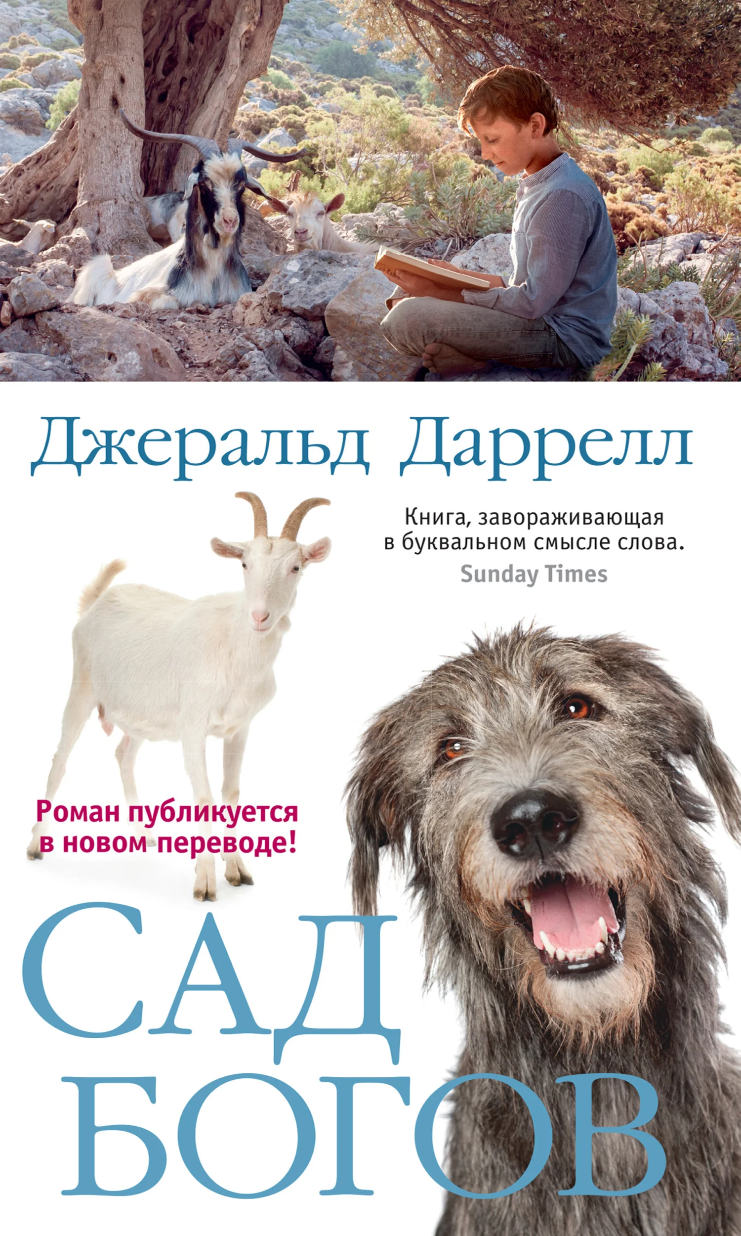 Обложка Сад богов