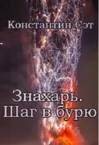 Обложка Знахарь. Шаг в бурю