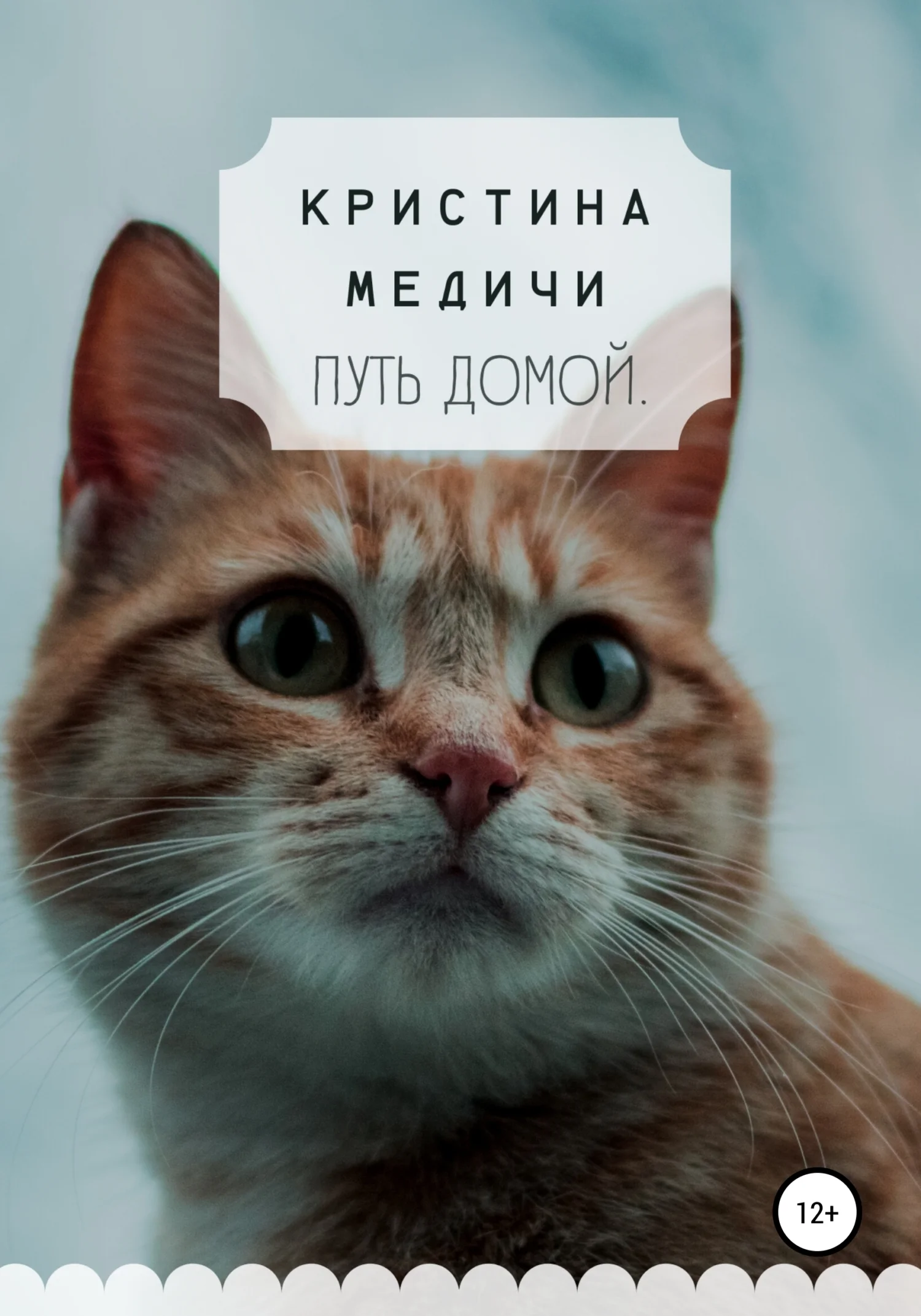 Обложка Путь домой